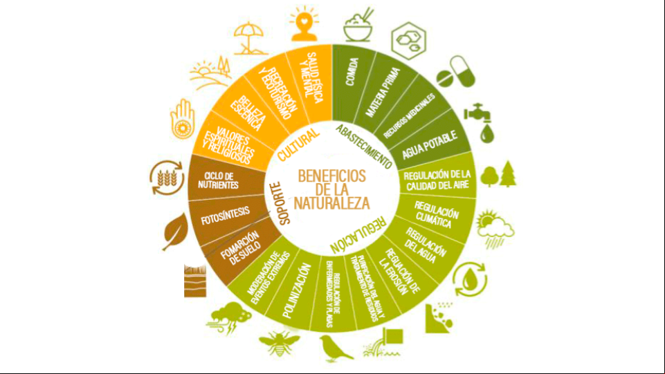 Servicios ecossistémicos